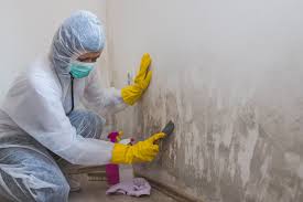 Best Biohazard Mold Removal  in Stony Prairie, OH